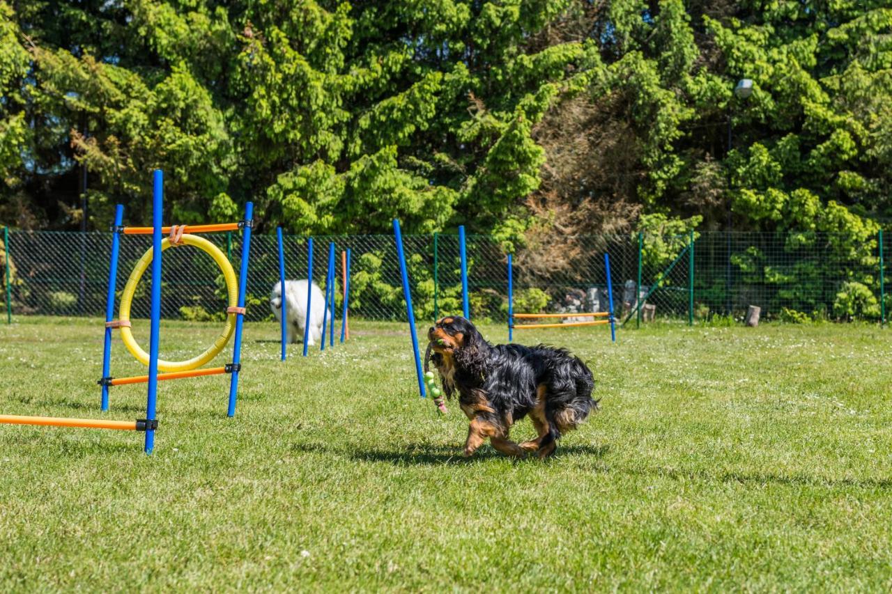 Domy Morskie Dog Friendly Jantar Exterior foto